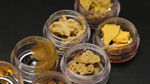 Unicorn Hash: A Rare and Premium Cannabis Concentrate Explained